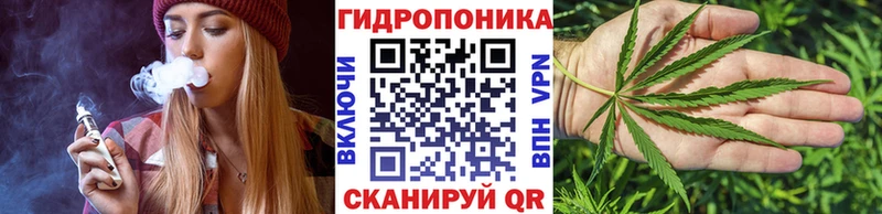 МЕФ Мышкин