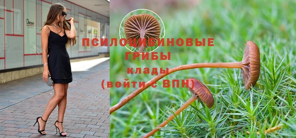 MESCALINE Богородицк