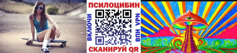 Псилоцибиновые грибы Psilocybine cubensis  где можно купить   Мышкин 